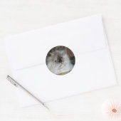 Himalayan Torti Point Runder Aufkleber (Umschlag)