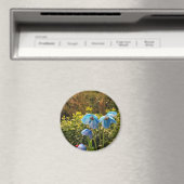 himalayischer Blaumohn Magnet (In Situ (Geschirrspüler))