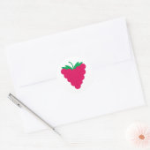 Himbeer-Rosa-Frucht-Beere Runder Aufkleber (Umschlag)
