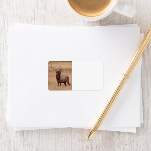 Himbeere Adressaufkleber (Insitu)