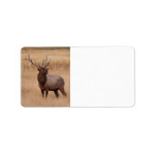 Himbeere Adressaufkleber (Vorne)