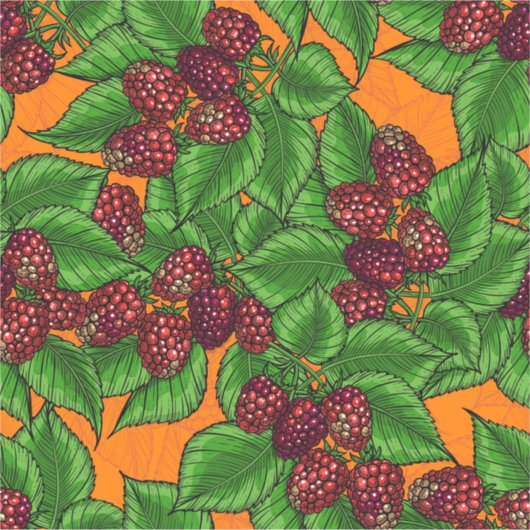 Himbeere Aufkleber (Vorderseite)