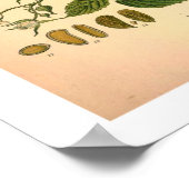 Himbeere Botanische Schrift Poster (Ecke)