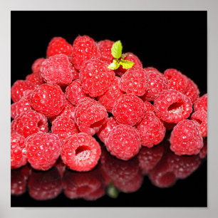 Himbeere, Essen, Frucht, Beere, reif, frisch, Poster