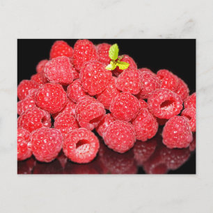 Himbeere, Essen, Frucht, Beere, reif, frisch, Postkarte