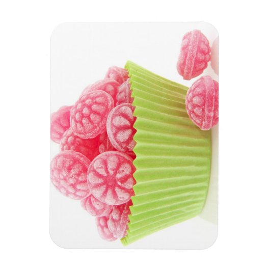 Himbeere leckere Süßigkeiten Süßigkeiten in grünem Magnet (Vertikal)