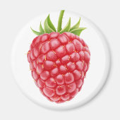 Himbeere Magnet (Vorne)