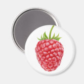 Himbeere Magnet (Vorderseite/Rückseite)