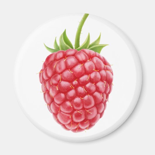 Himbeere Magnet (Vorne)