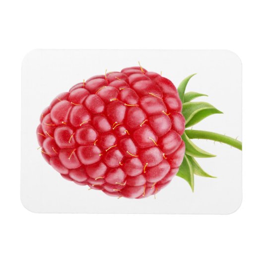 Himbeere Magnet (Horizontal)
