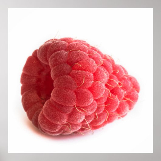 Himbeere Poster (Vorne)