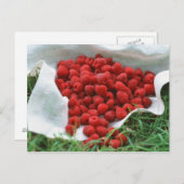 Himbeere Postkarte (Vorne/Hinten)
