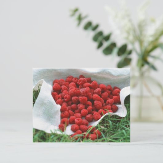 Himbeere Postkarte (Stehend Vorderseite)