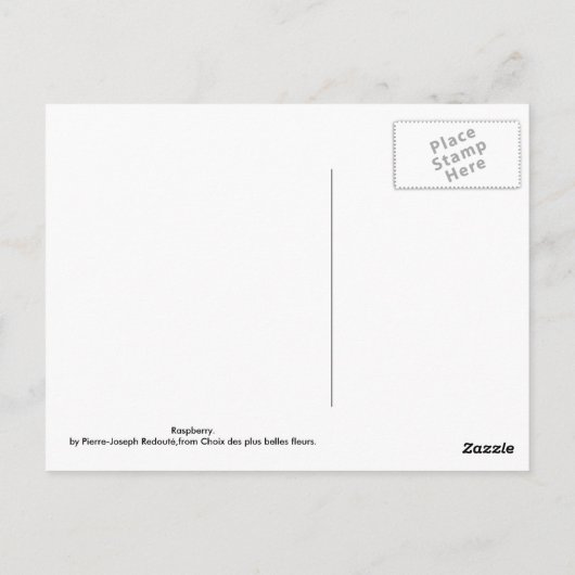 Himbeere Postkarte (Rückseite)