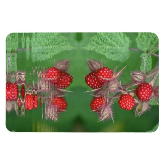 Himbeere Reflektionen Magnet (Horizontal)