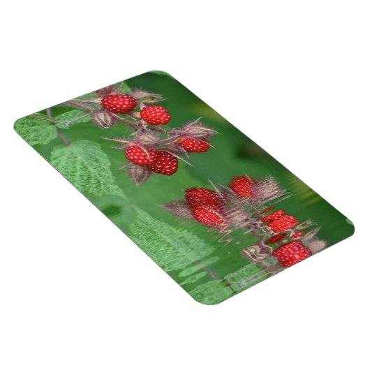 Himbeere Reflektionen Magnet (Rechte Seite)