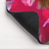 Himbeere Rose Mouse-Pad Mousepad (Ecke)