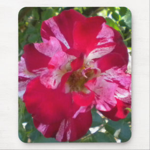 Himbeere Rose Mouse-Pad Mousepad