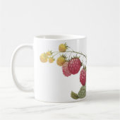 Himbeere (Rubus sp.) von Redouté Kaffeetasse (Links)
