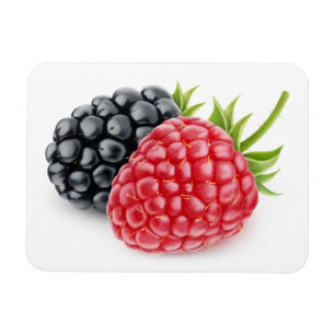 Himbeere und BlackBerry Magnet