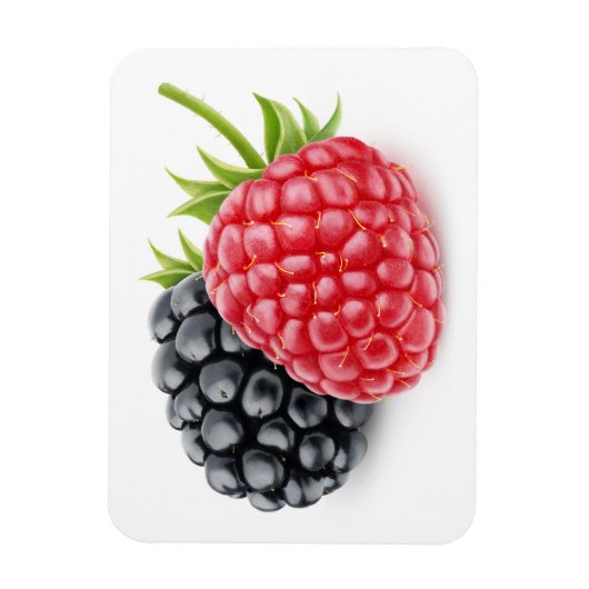 Himbeere und BlackBerry Magnet (Vertikal)