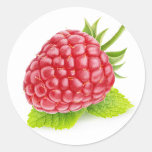 Himbeere und Minze Runder Aufkleber