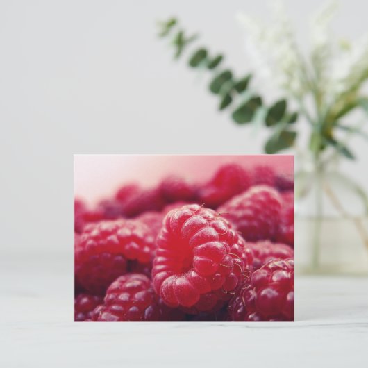 Himbeeren 6 postkarte (Stehend Vorderseite)