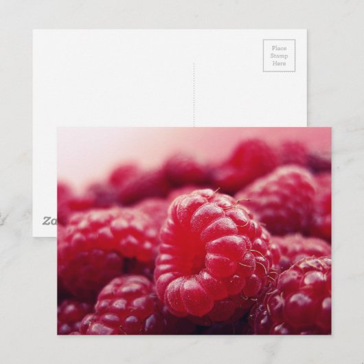 Himbeeren 6 postkarte (Vorne/Hinten)