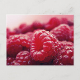 Himbeeren 6 postkarte