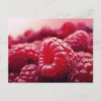 Himbeeren 6 postkarte