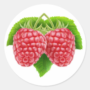 Himbeeren auf Blättern Runder Aufkleber