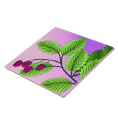 Himbeeren auf einem Zweig Fliese (Seite)