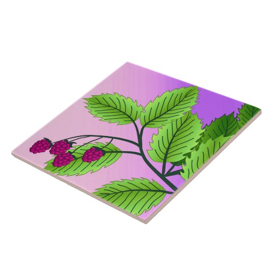 Himbeeren auf einem Zweig Fliese (Seite)