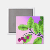 Himbeeren auf einem Zweig Magnet (Vorderseite/Rückseite)