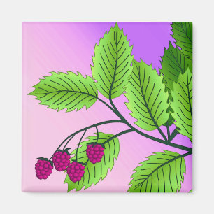 Himbeeren auf einem Zweig Magnet