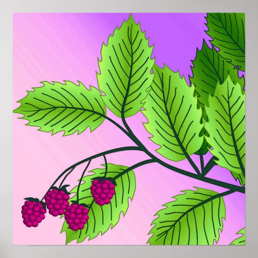 Himbeeren auf einem Zweig Poster (Vorne)
