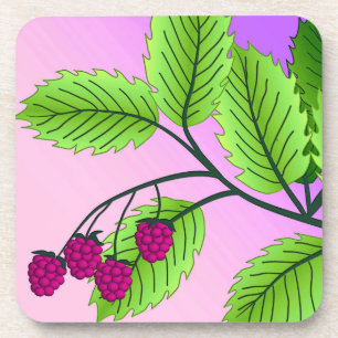 Himbeeren auf einem Zweig Untersetzer