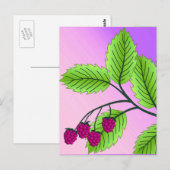 Himbeeren auf Zweig Postkarte (Vorne/Hinten)