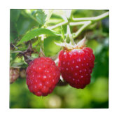 Himbeeren Fliese (Vorderseite)
