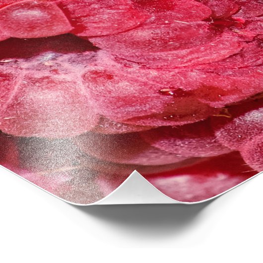 Himbeeren Fotodruck (Ecke)