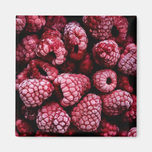 Himbeeren Fresh Red Magnet