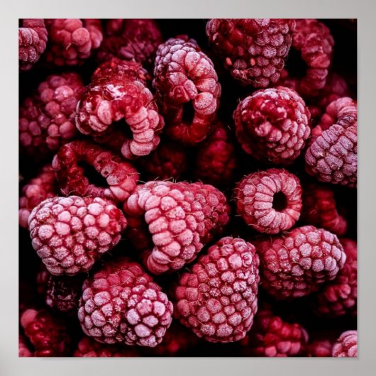 Himbeeren Fresh Red Poster (Vorne)