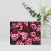 Himbeeren Fresh Red Postkarte (Stehend Vorderseite)