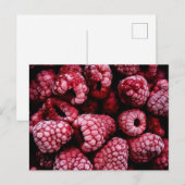 Himbeeren Fresh Red Postkarte (Vorne/Hinten)