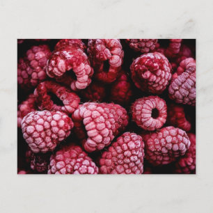 Himbeeren Fresh Red Postkarte