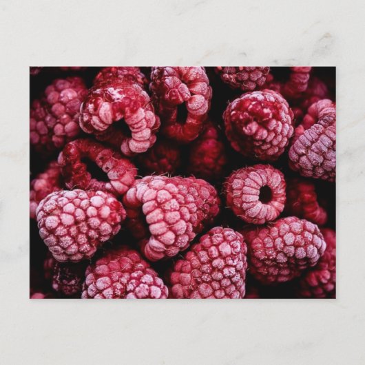Himbeeren Fresh Red Postkarte (Vorderseite)
