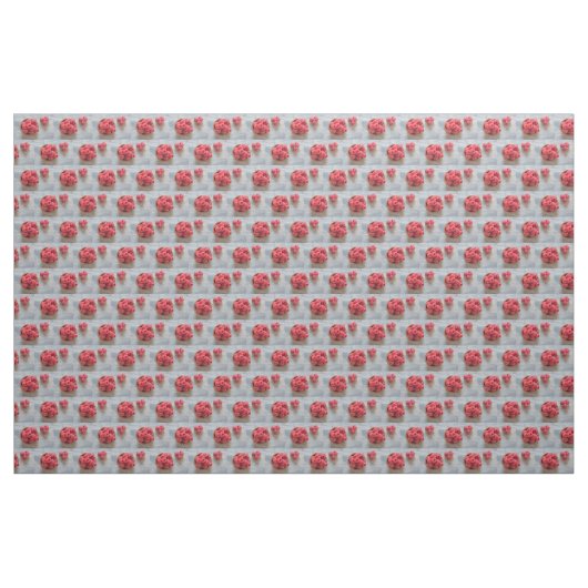 Himbeeren, frisch in einer Schüssel Stoff (Yard (91,4 cm))