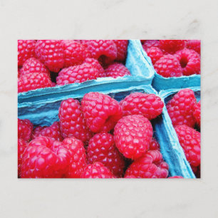 Himbeeren, frisch postkarte