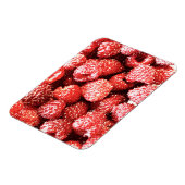 "Himbeeren Früchte" Niedliches Foto. Jetzt kaufen Magnet (Linke Seite)