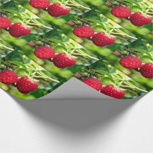 Himbeeren Geschenkpapier (Ecke)